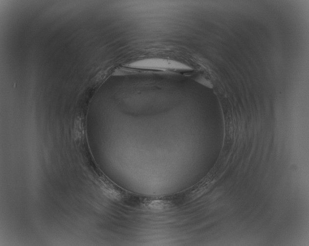 X0000067470467200604211611