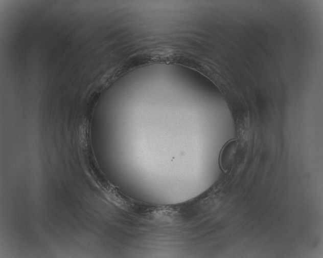 X0000067470468200604211611