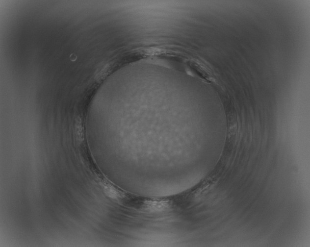 X0000067470469200604211611