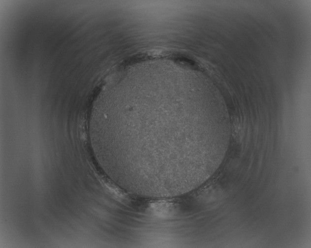 X0000067470470200604211611