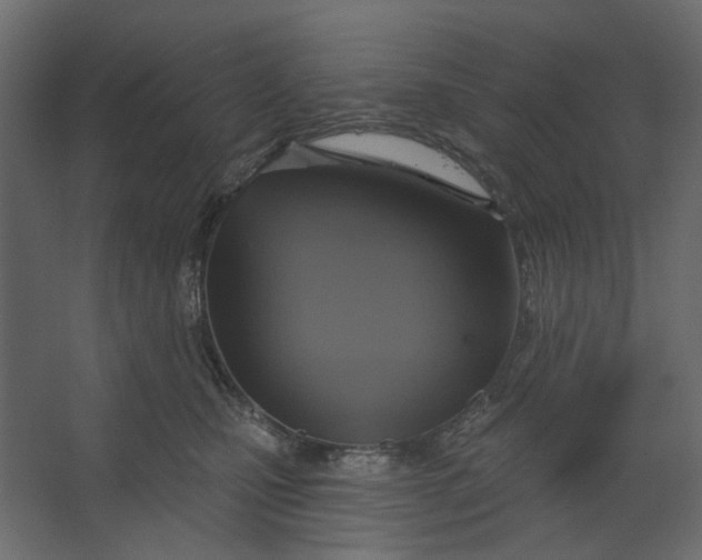 X0000067470471200604211611