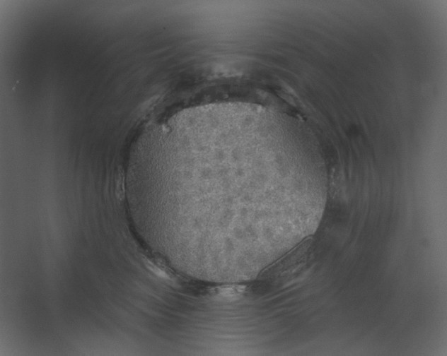 X0000067470474200604211611