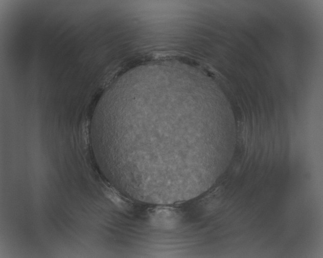 X0000067470475200604211612