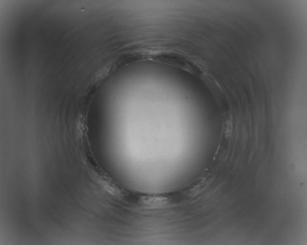 X0000067470476200604211612