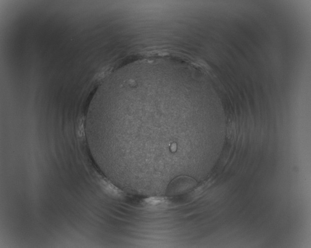 X0000067470477200604211612