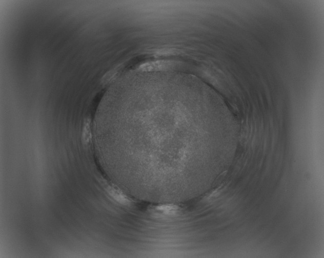 X0000067470478200604211612