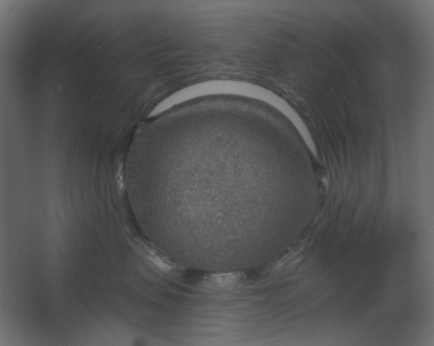 X0000067470479200604211612