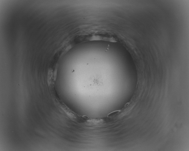 X0000067470480200604211612