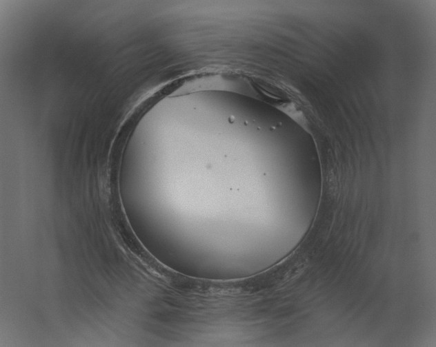 X0000067470484200604211611