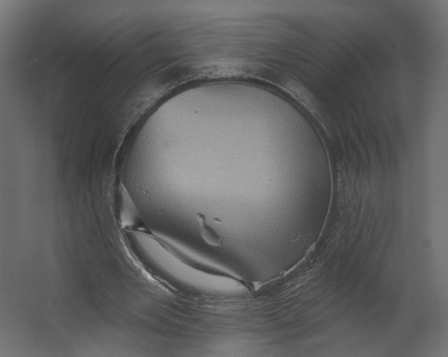 X0000067470485200604211611