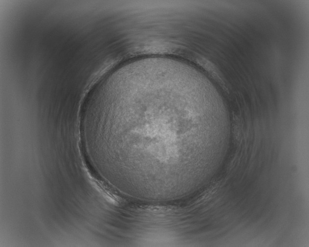 X0000067470486200604211611