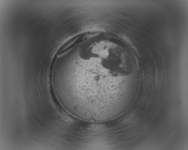 X0000067470487200604211611