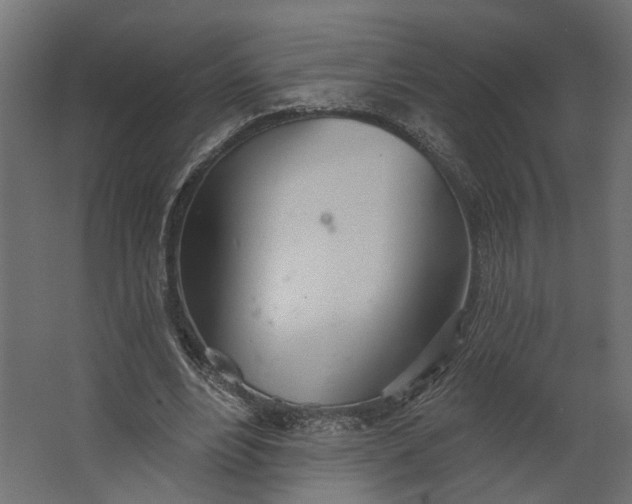 X0000067470488200604211611