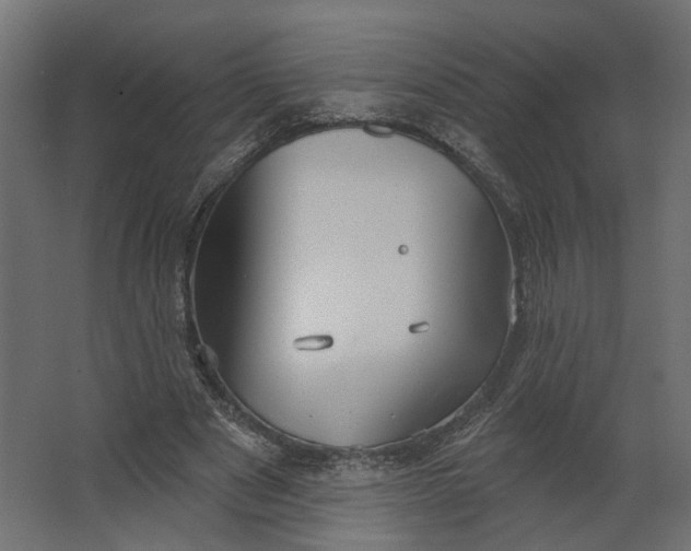 X0000067470489200604211611