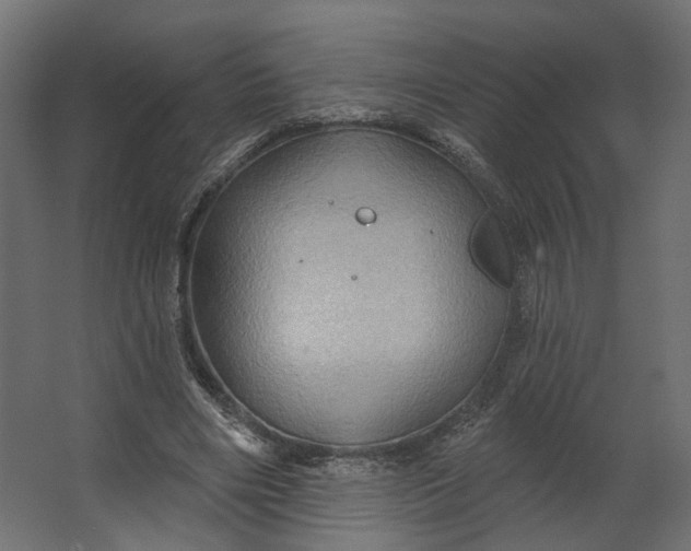 X0000067470490200604211611