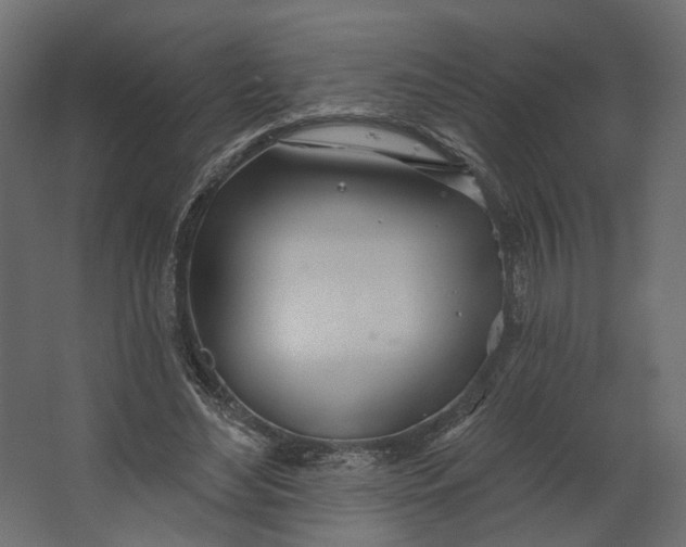 X0000067470492200604211611