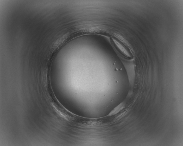 X0000067470493200604211611