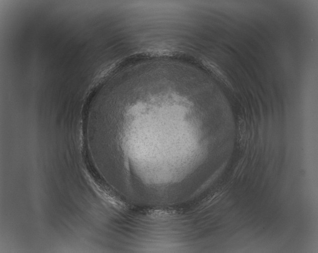 X0000067470494200604211611