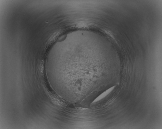 X0000067470495200604211611