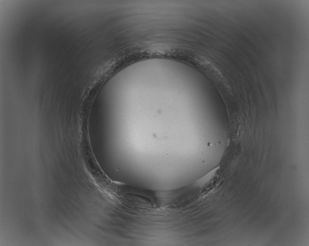 X0000067470496200604211611