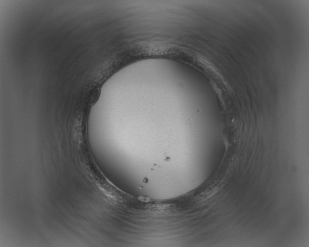 X0000067470497200604211611