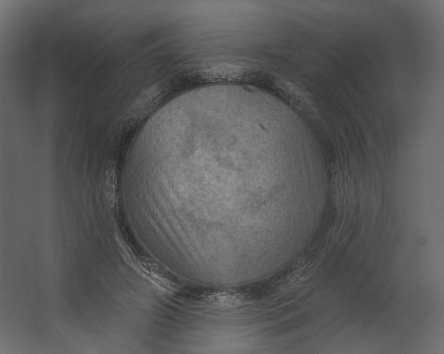 X0000067470498200604211610