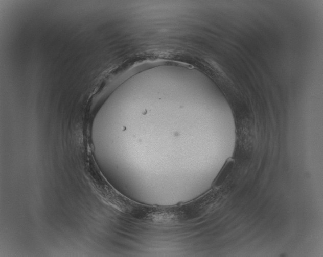 X0000067470500200604211610