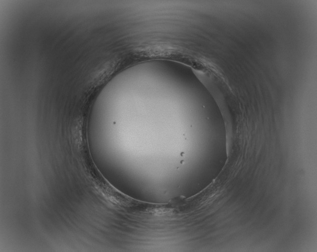 X0000067470501200604211610