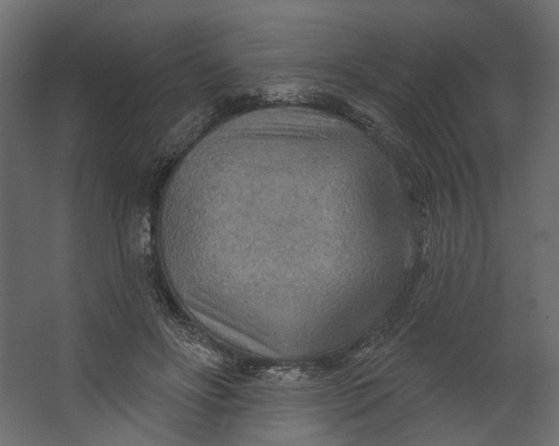 X0000067470502200604211610