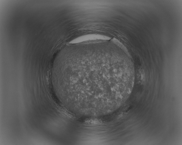 X0000067470503200604211610