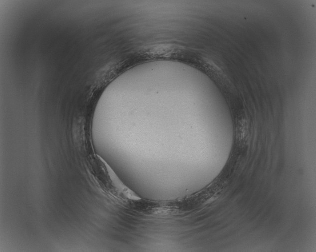 X0000067470504200604211610