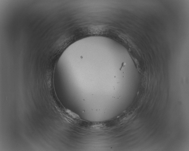 X0000067470505200604211610