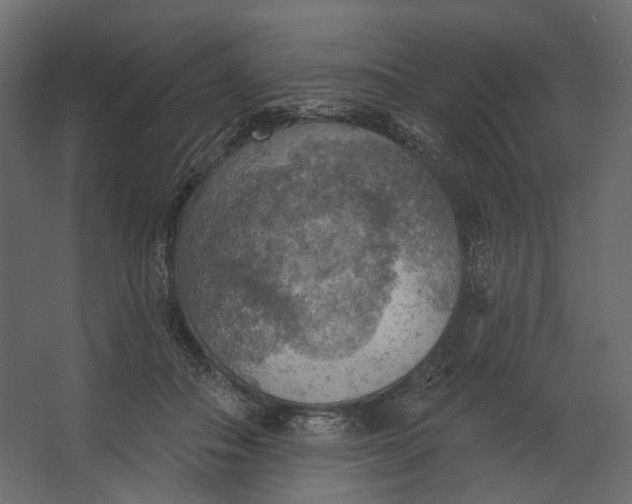 X0000067470506200604211610