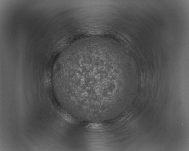 X0000067470507200604211610