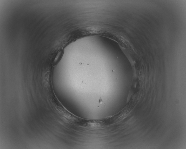 X0000067470509200604211610