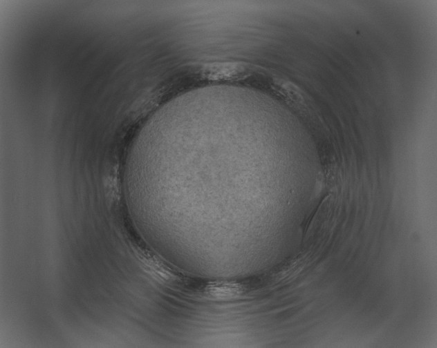 X0000067470510200604211610