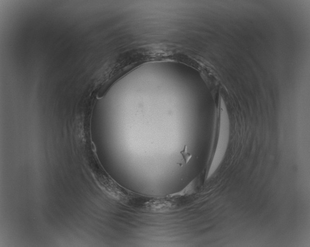 X0000067470512200604211610