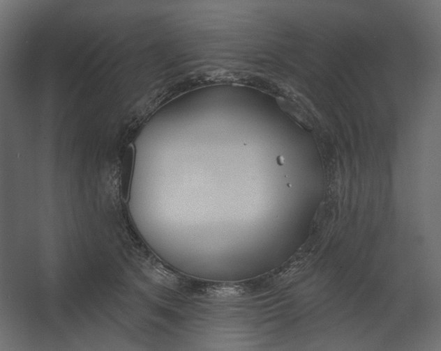 X0000067470513200604211610