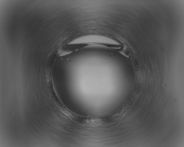 X0000067470517200604211610