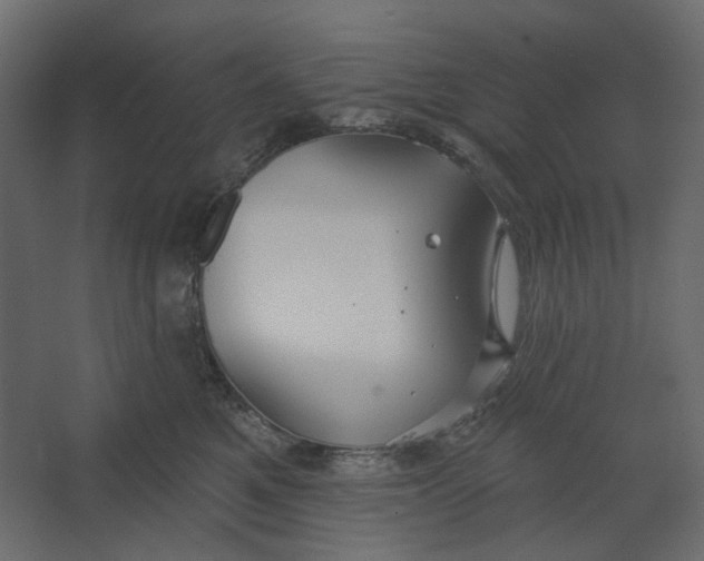 X0000067470521200604211610