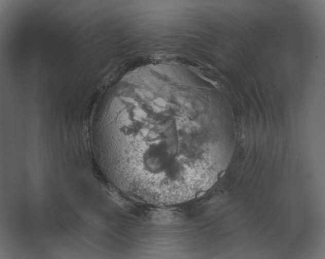 X0000067470523200604211610