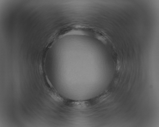 X0000067470524200604211610