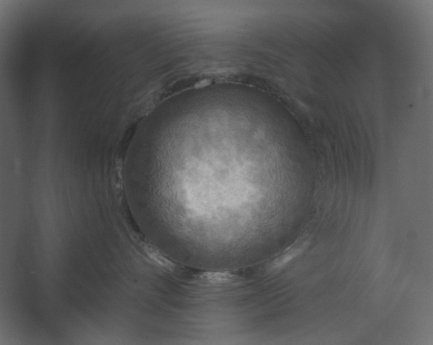 X0000067470528200604211610