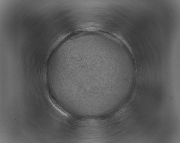 X0000067470533200604211609