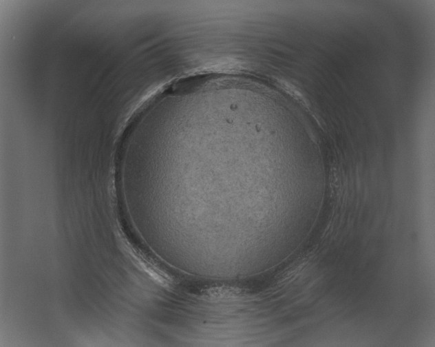 X0000067470535200604211609