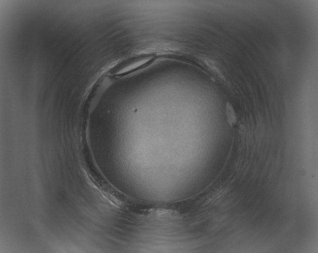 X0000067470539200604211609