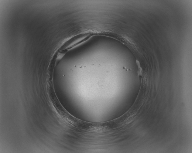 X0000067470540200604211609