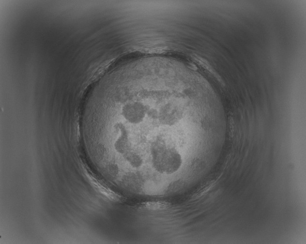 X0000067470541200604211609