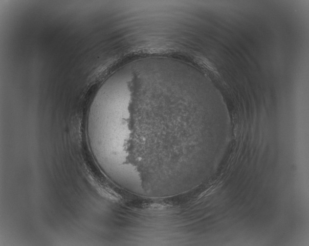 X0000067470542200604211609