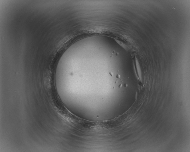 X0000067470544200604211609